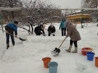 �����������