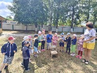 �����������