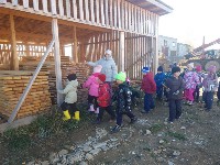 �����������