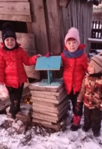 �����������