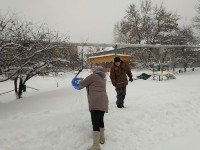 �����������