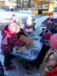 �����������