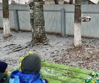 �����������