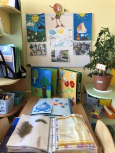 �����������