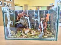 �����������