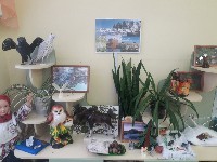 �����������